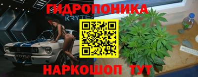 дживик Заводоуковск