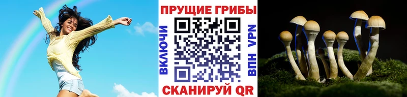 Галлюциногенные грибы Cubensis  как найти закладки  Муром 