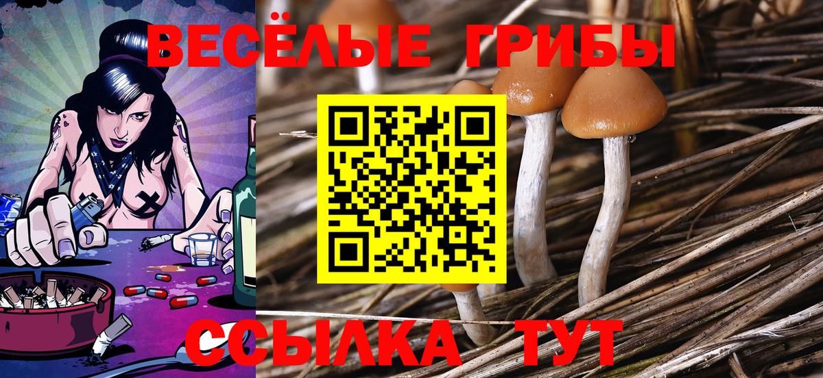 Муром  Галлюциногенные грибы ЛСД  Вход с VPN 