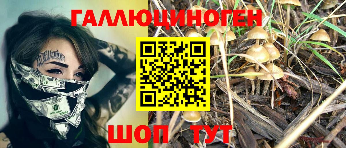 Псилоцибиновые грибы мухоморы Муром